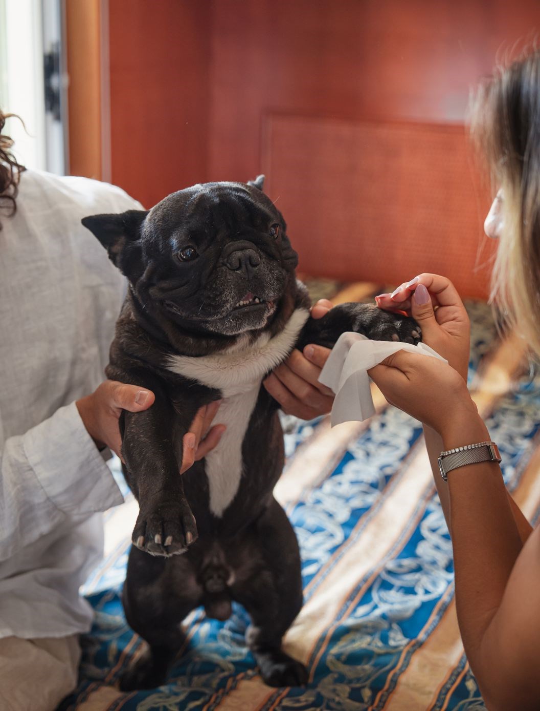 Vacanza con il cane a Jesolo all'Hotel Colombo
